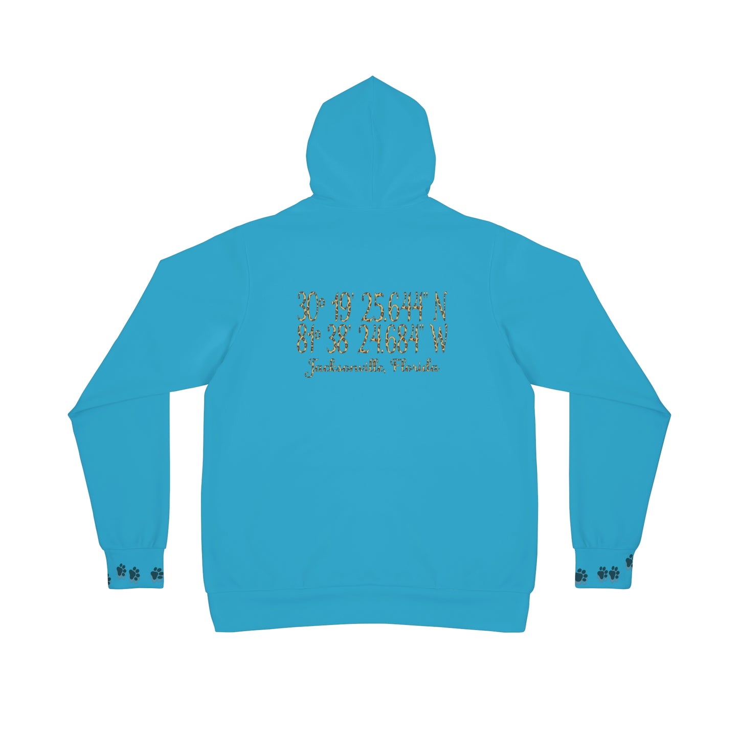 #DTWD Geo-Tag Hooded Sweatshirt Jaguars Teal and leopard print