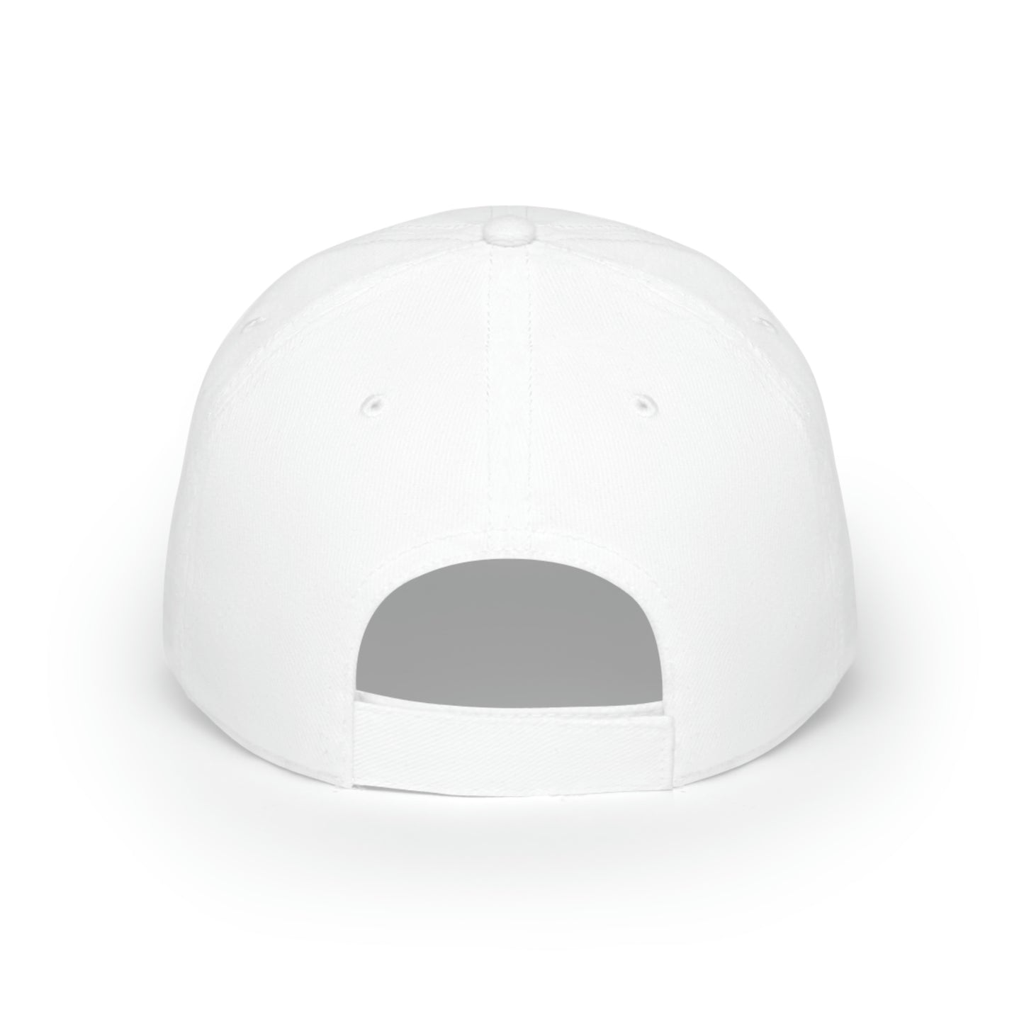 Miami Low Profile Dolphins Baseball Cap